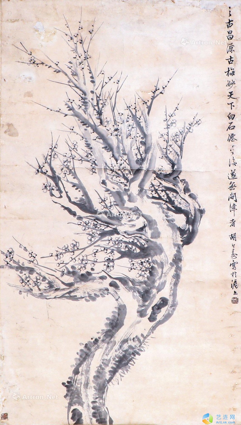 pic1