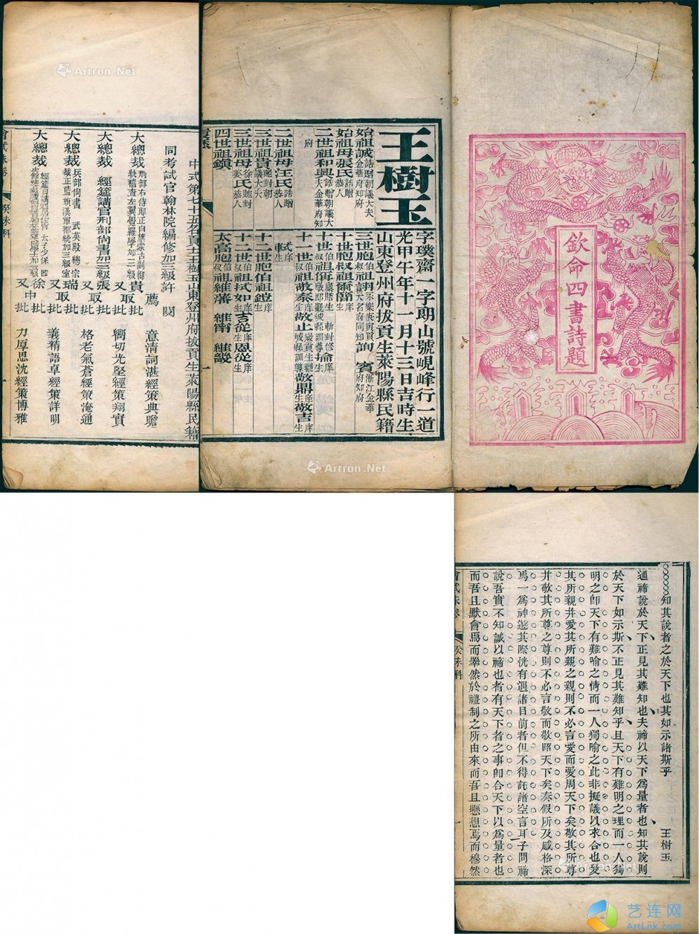 pic1