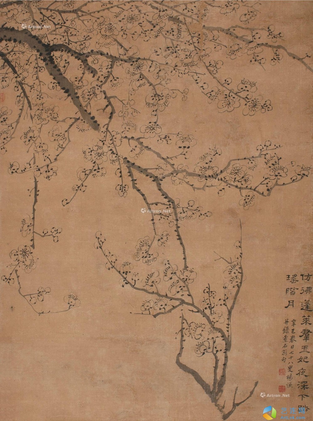 pic1