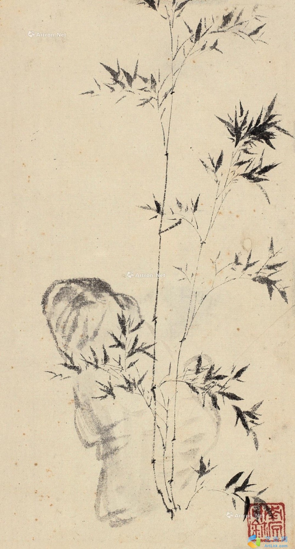 pic1