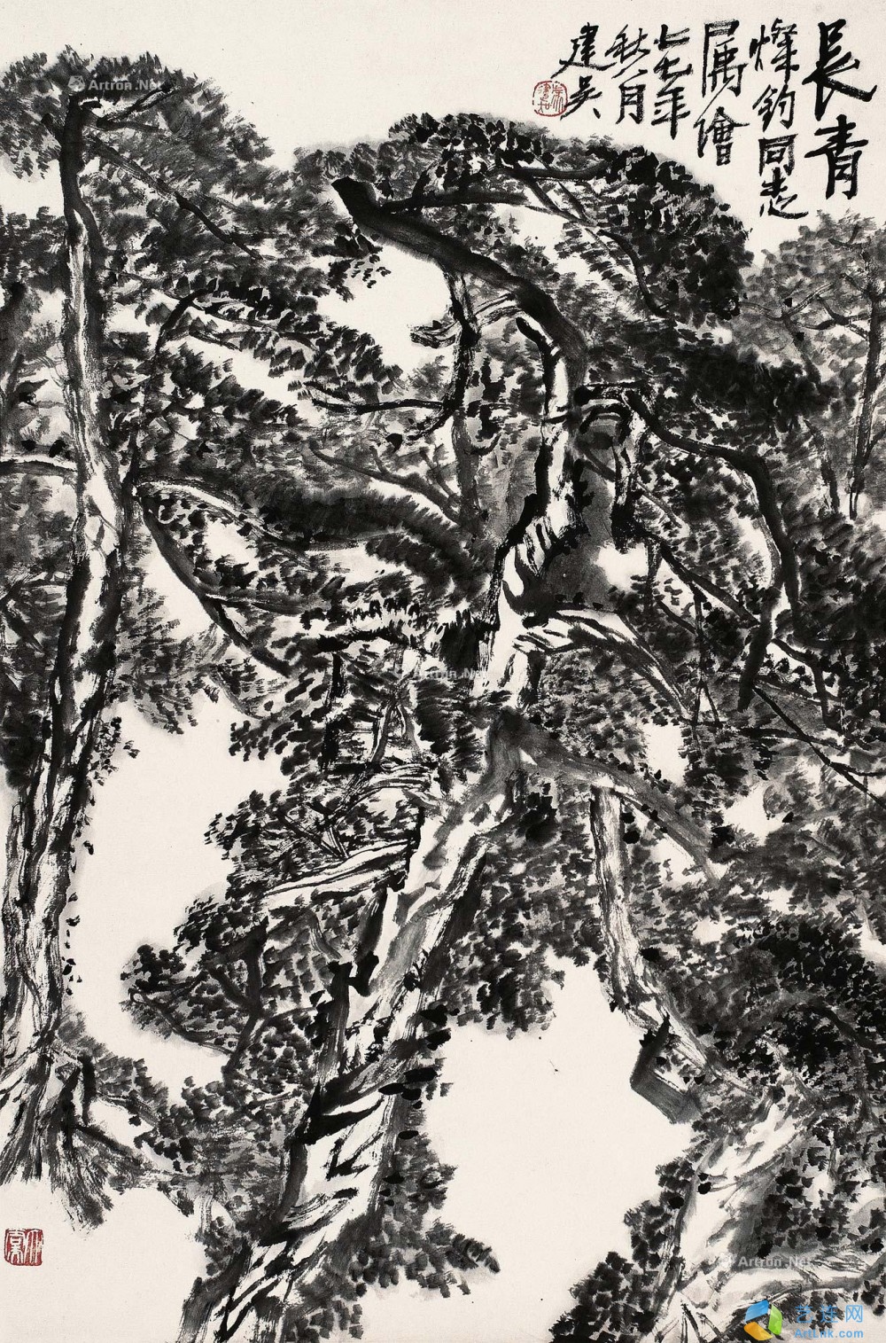 pic1