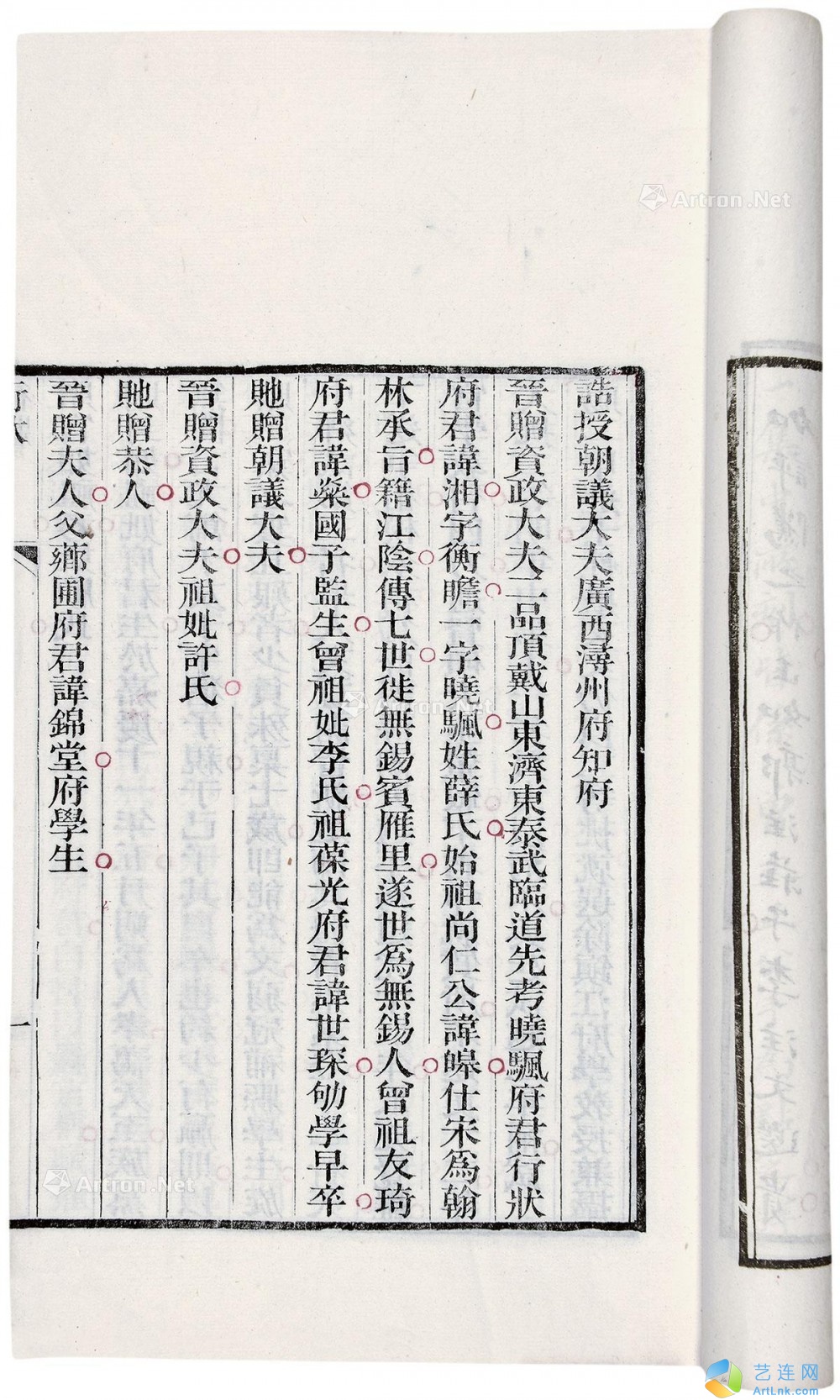 pic1