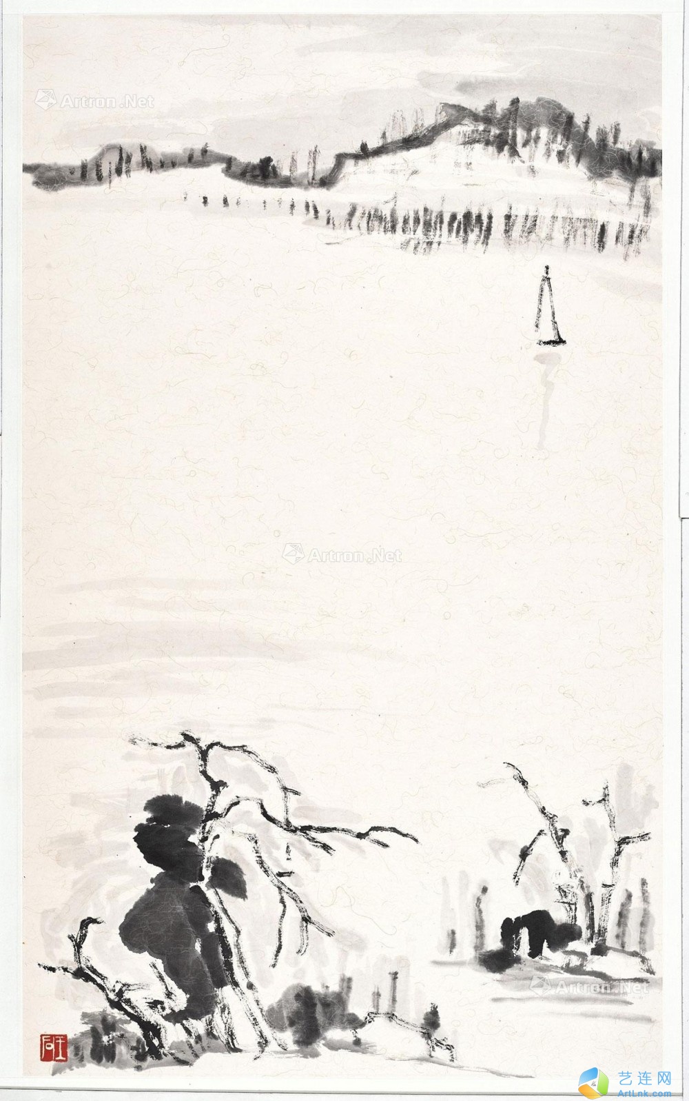 pic1