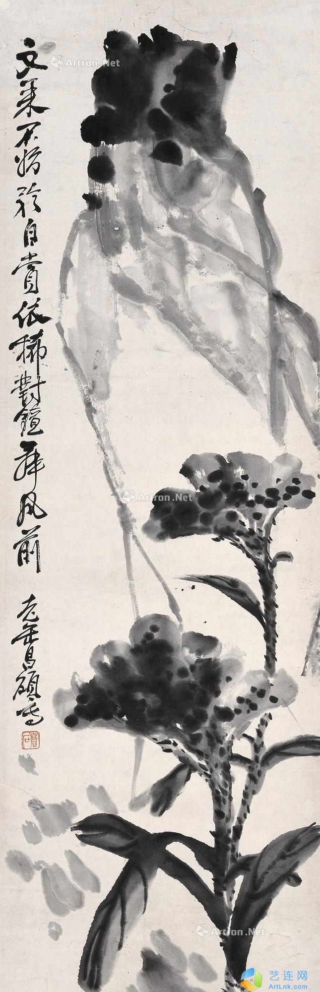 pic1