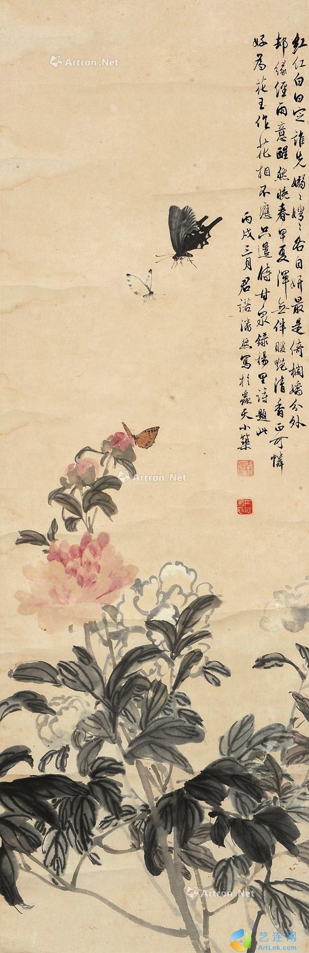 pic1