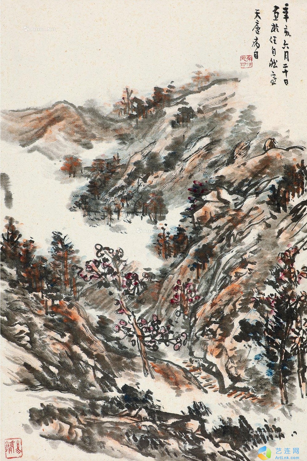 pic1