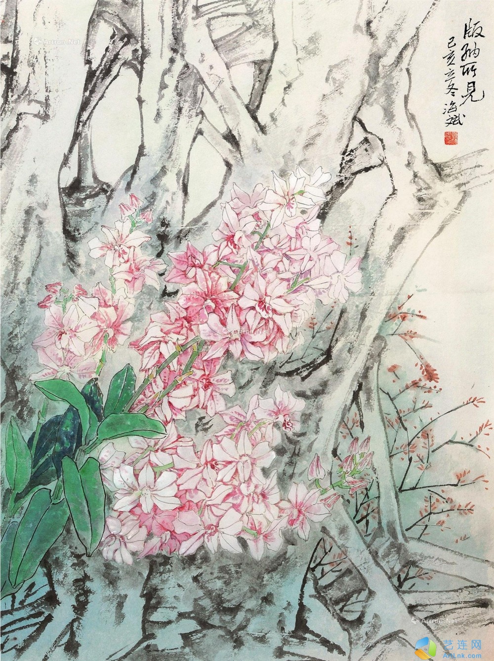 pic1