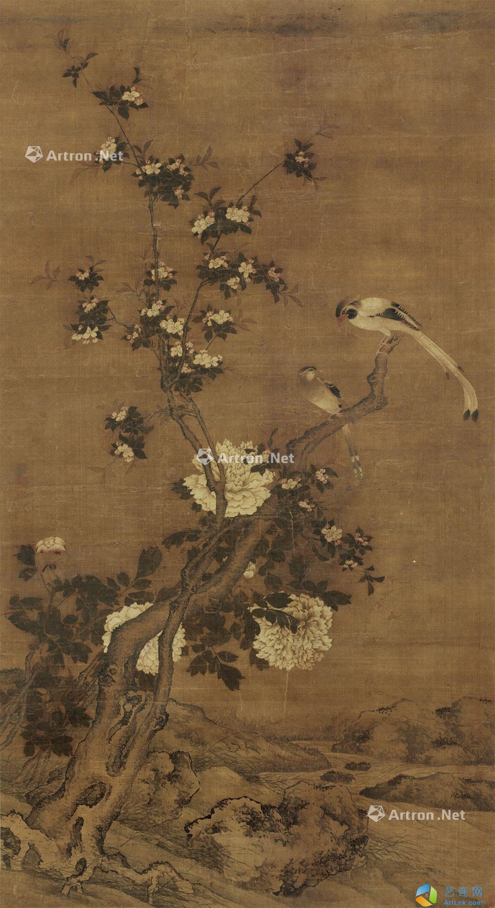 pic1
