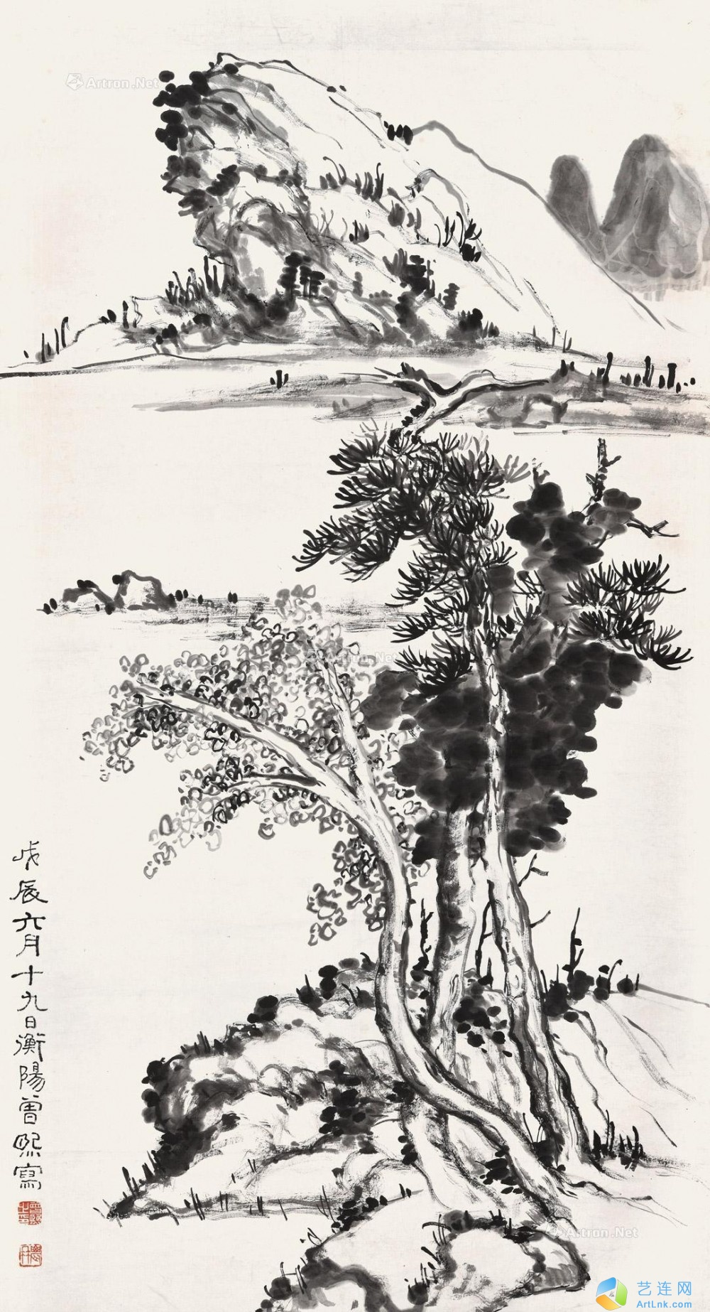 pic1