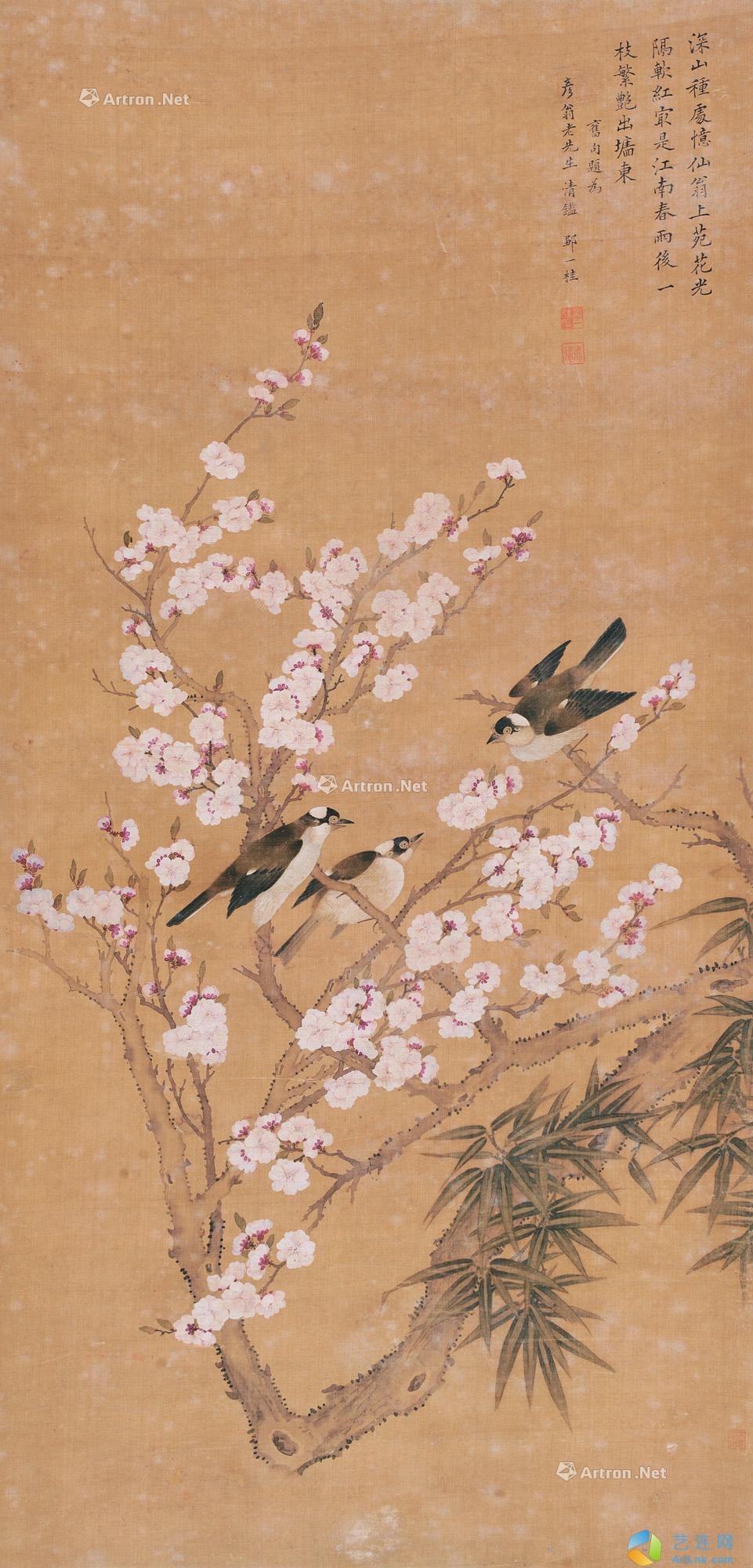pic1
