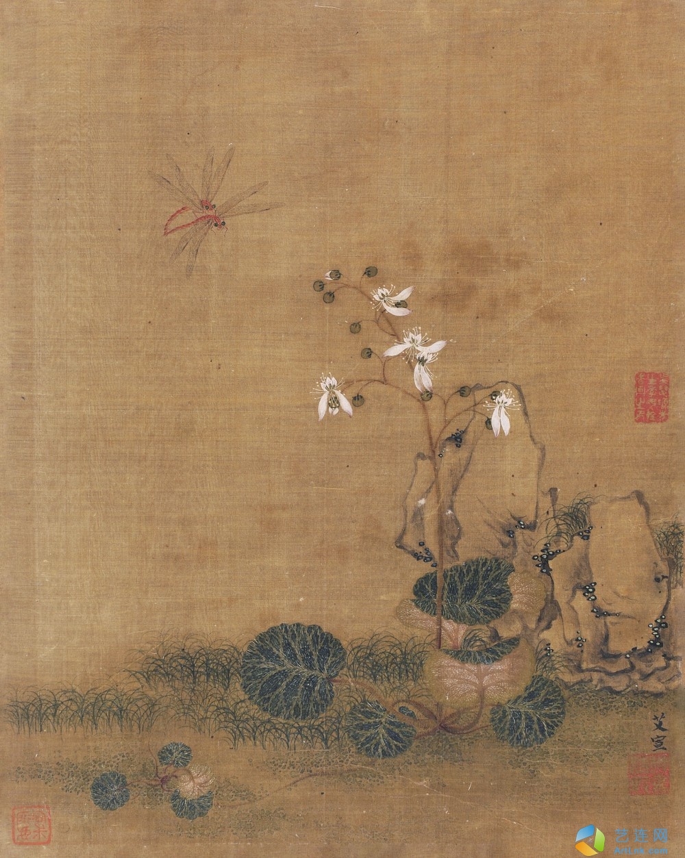 pic1