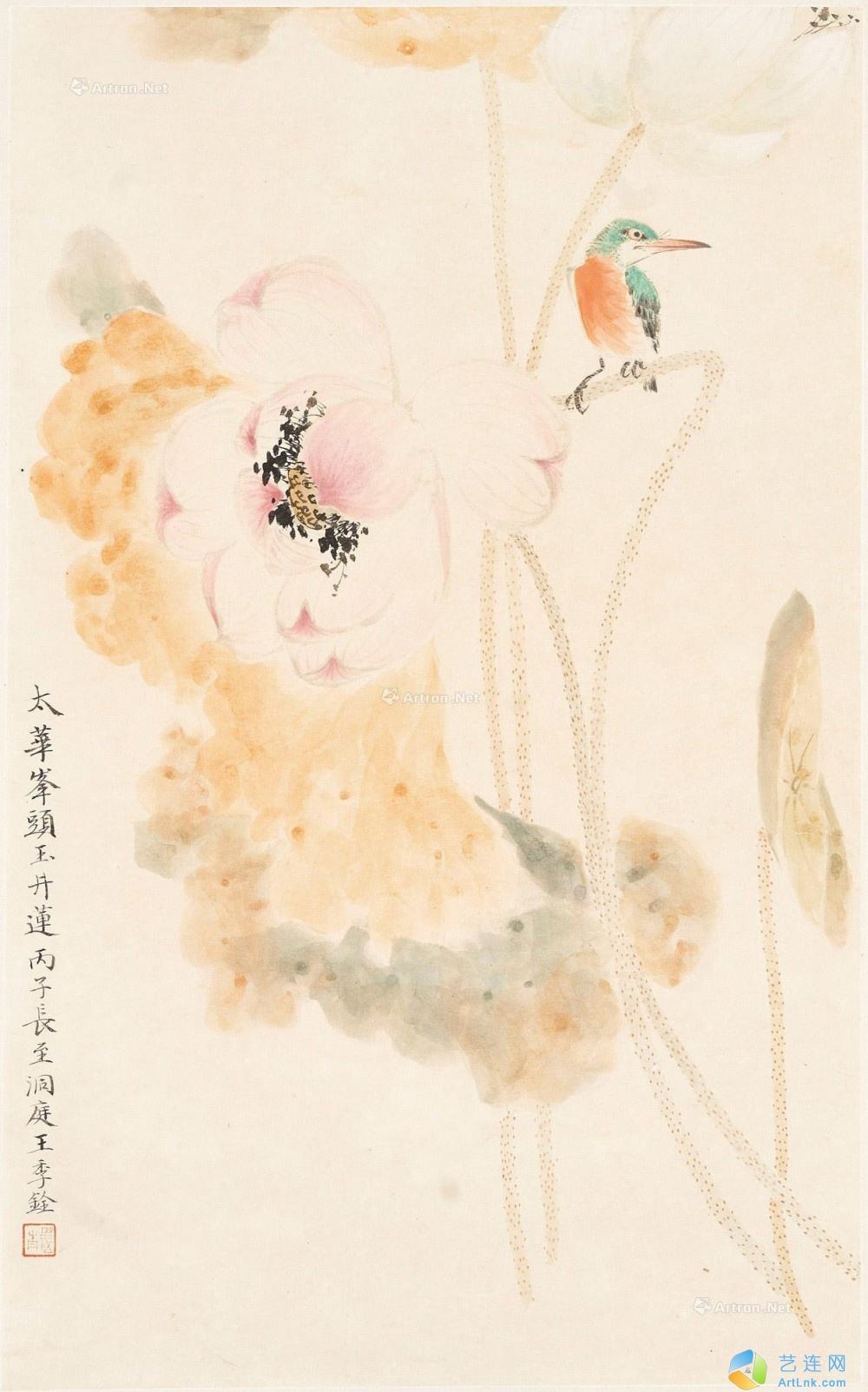 pic1