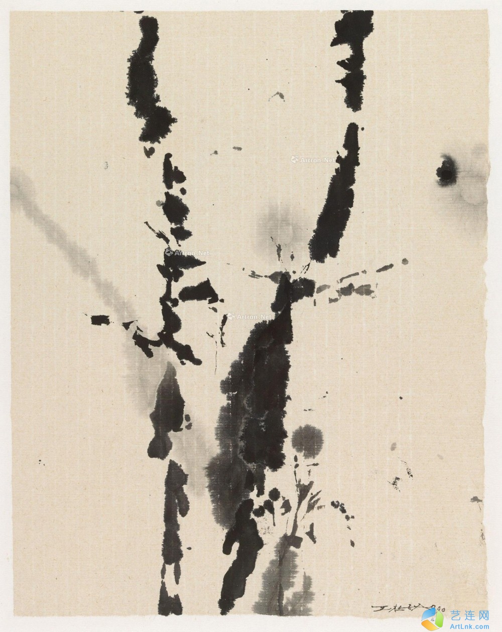 pic1