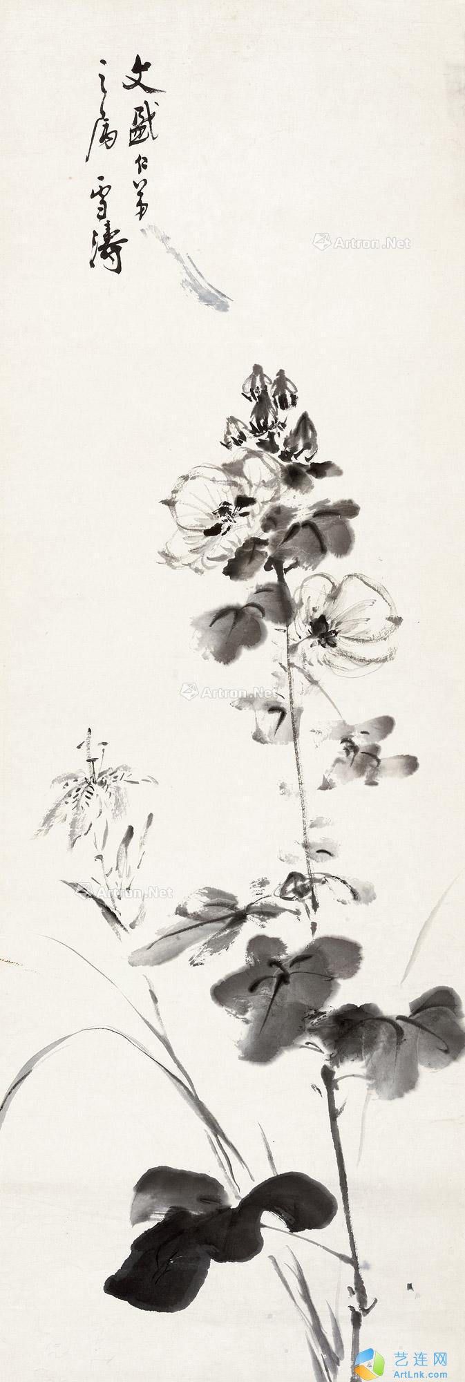 pic1