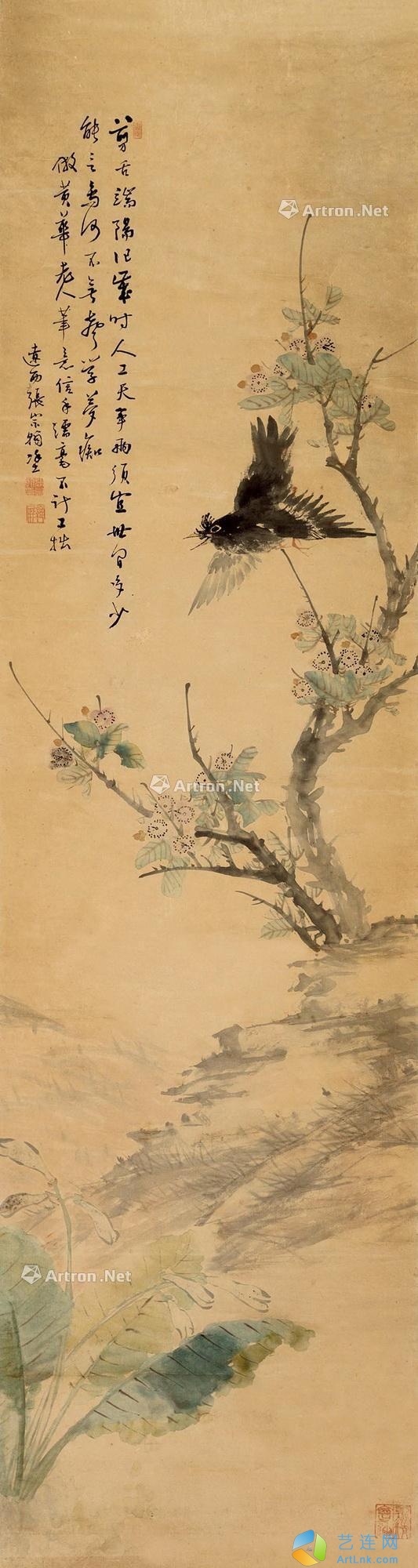 pic1