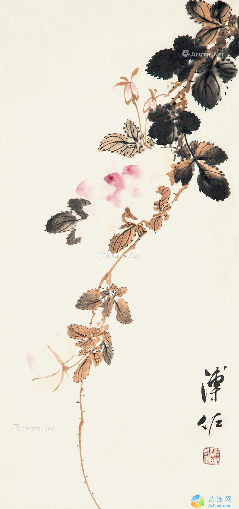pic1