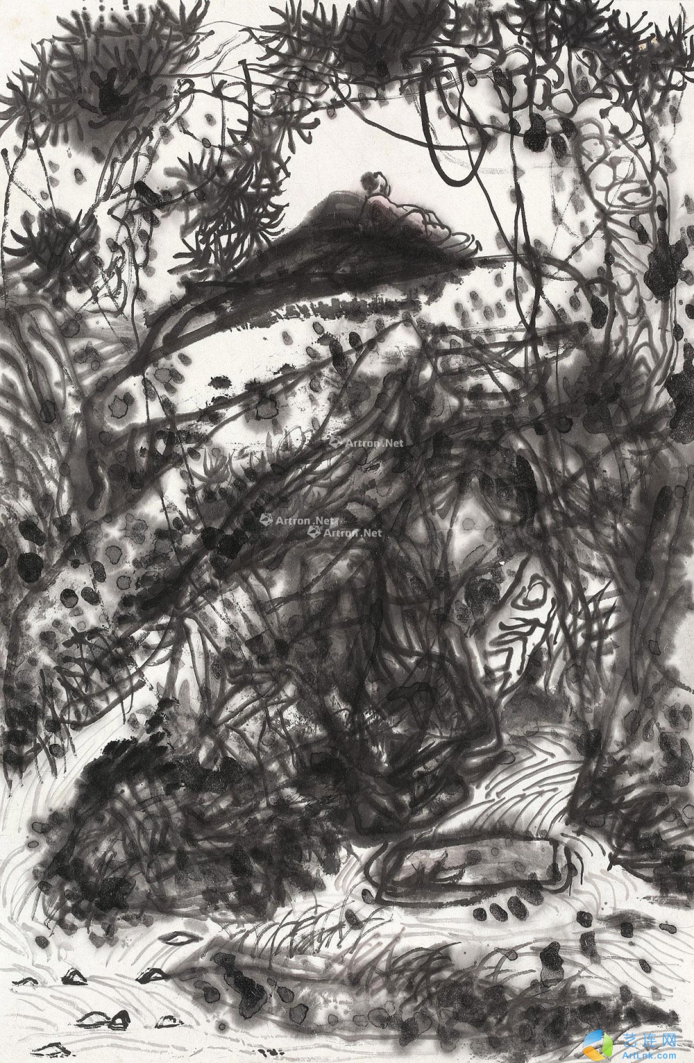 pic1