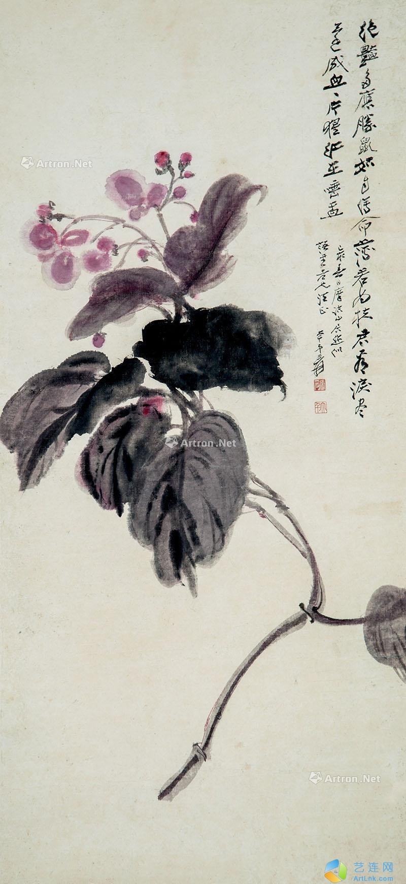 pic1