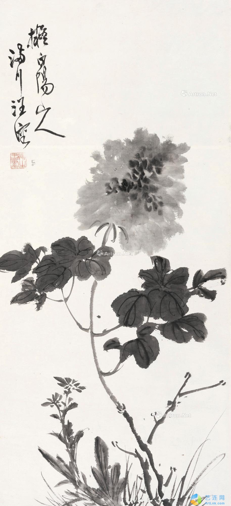 pic1