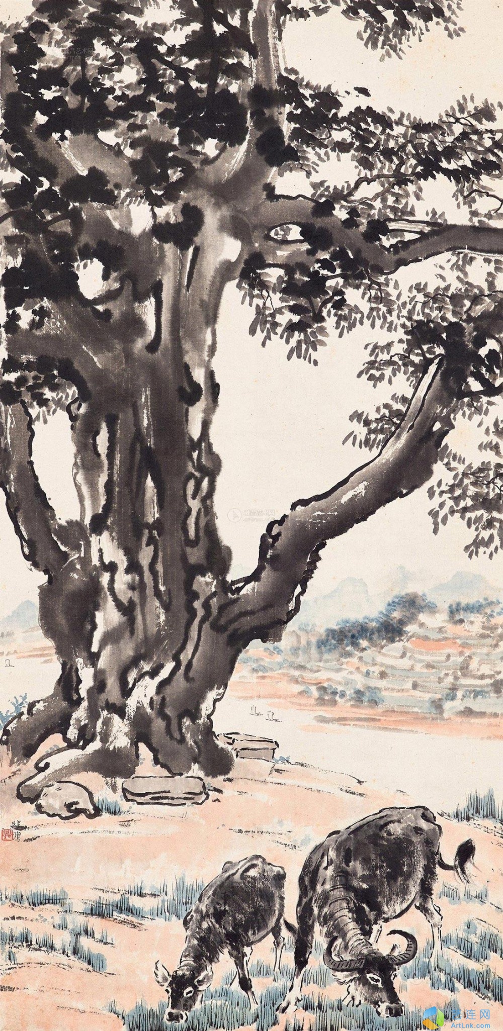 pic1