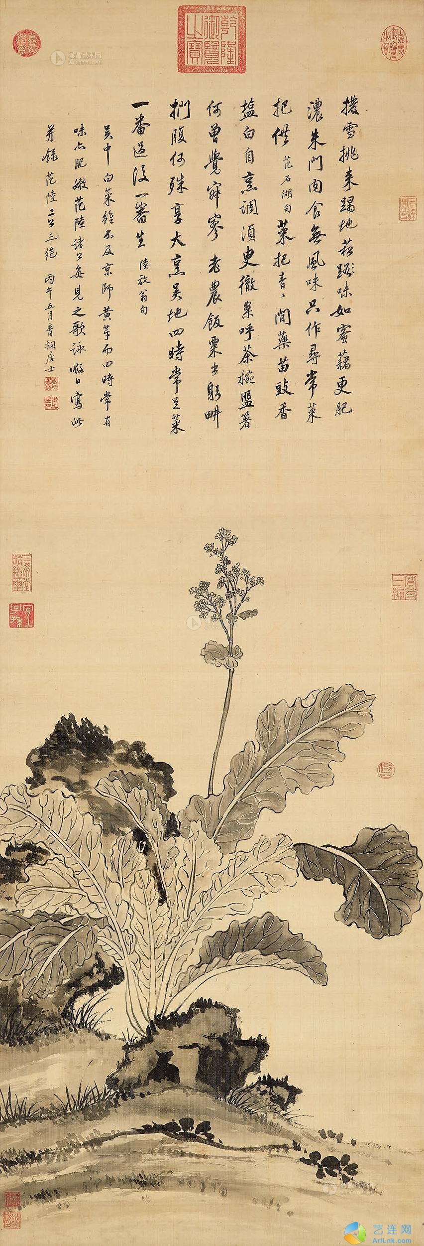 pic1