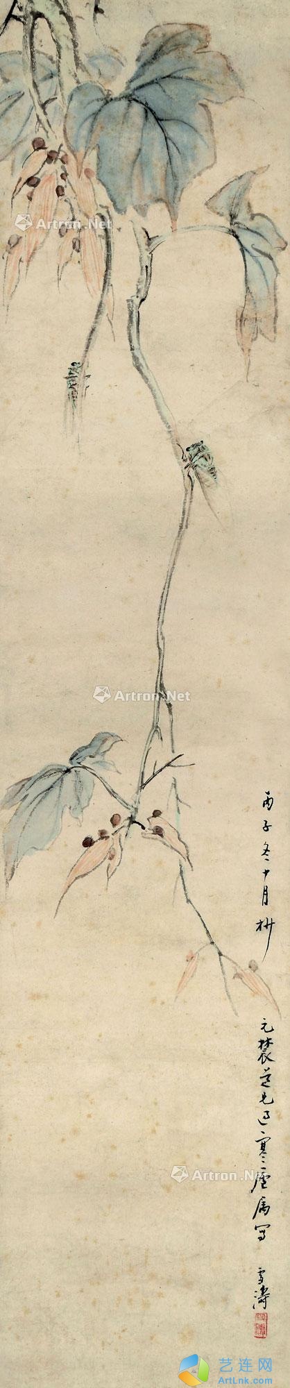 pic1