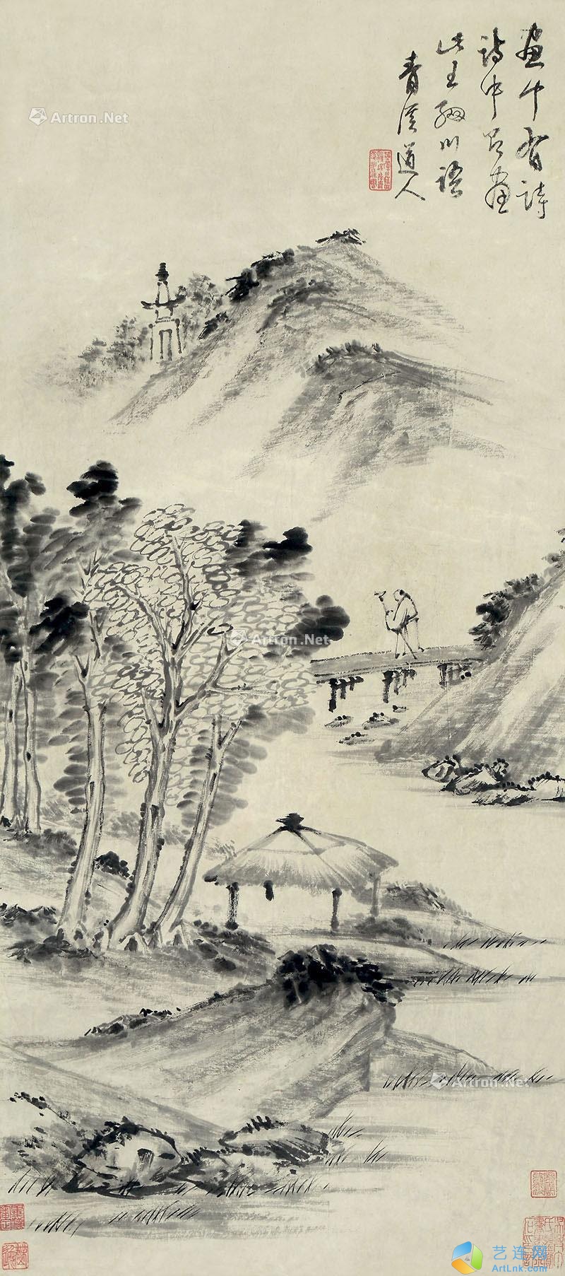 pic1