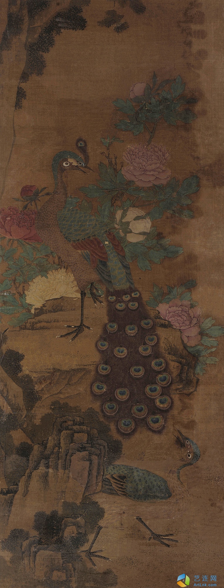 pic1