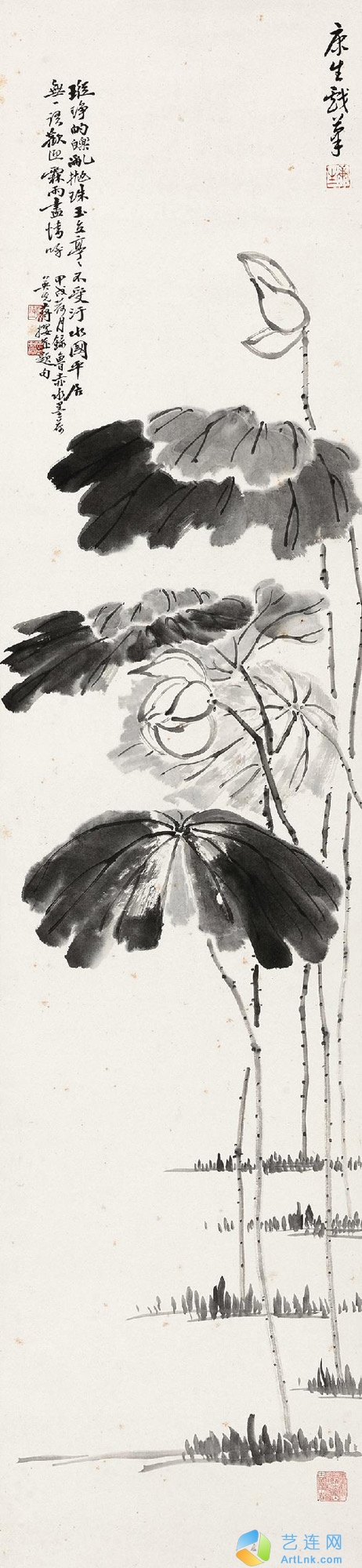 pic1