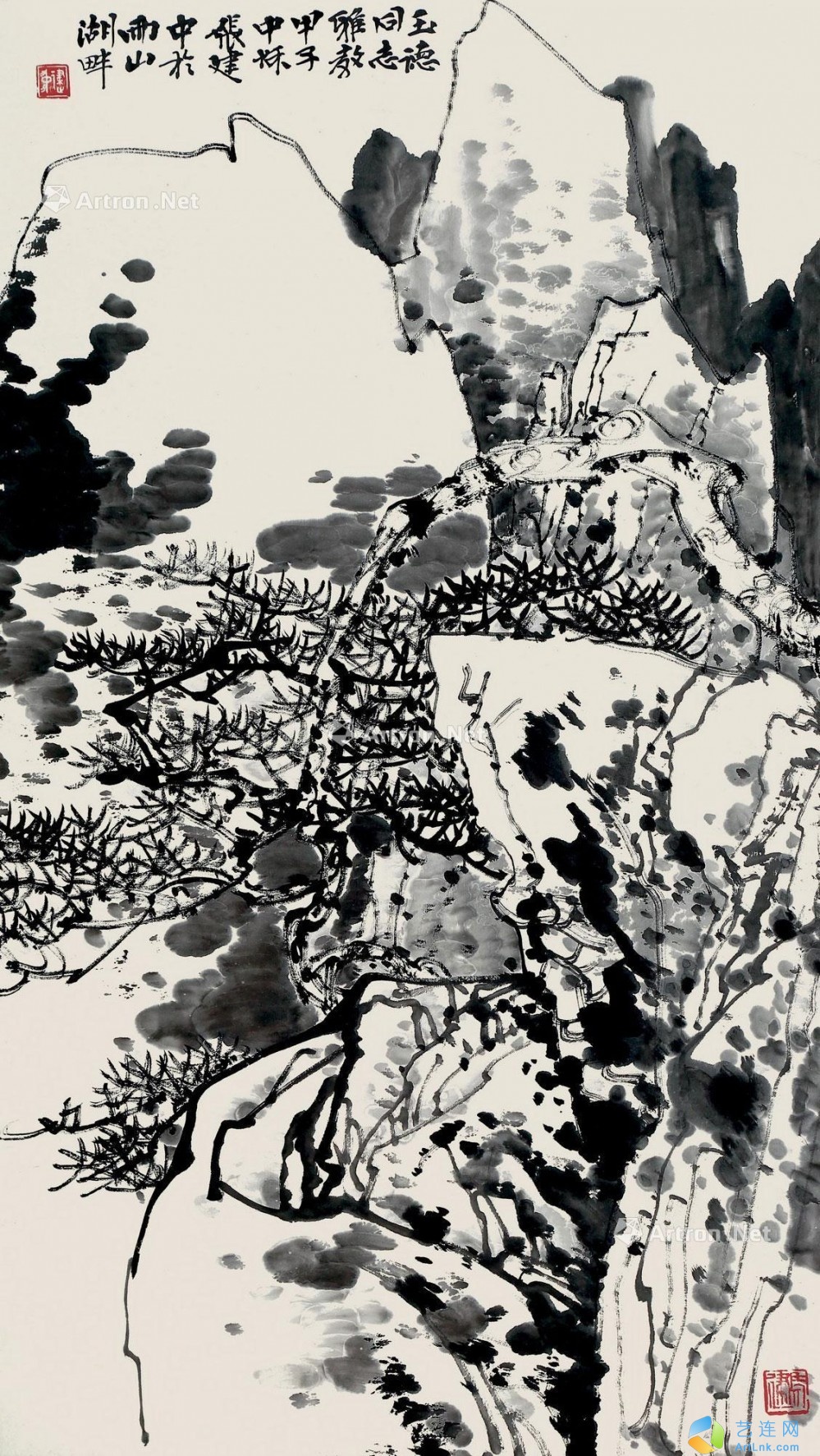 pic1