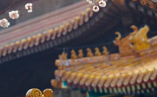 【艺连关注】故宫新馆年内开建 主要功能为文物保护修复中心