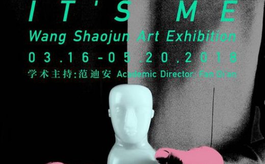 【艺连展讯】真的是我：王少军艺术展