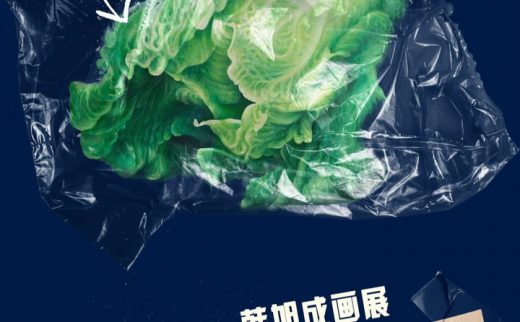 “白菜记”韩旭成画展