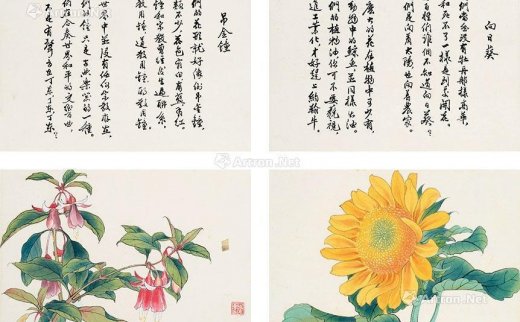 --                            0858 
                            百花齐放——吊金钟、向日葵 纸本