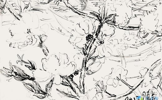 周春芽（b.1955）
                                                                                                                                                1074 
                            2017年作 桃花-2 纸本碳墨笔