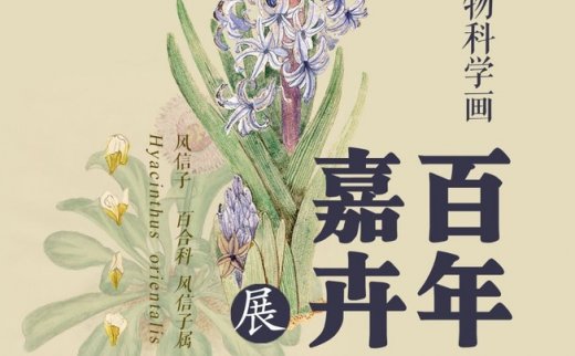 “百年嘉卉”北疆博物院藏植物科学画展