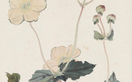 【拍卖价格】                                                                                    孙宗慰（1912～1979）
                                                                                                                                                1507 
                            1948年作 花卉 纸本彩墨