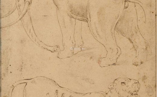 GIOVANNI BATTISTA FRANCO， DIT IL SEMOLEI（UDINE CIRCA 1501-1561 VENISE）
                                                                                                                                                0004 
                            Étude d’un éléphant et d’une panthère plume et encre brune