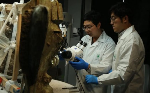 博物馆之城 | 三星堆遗址祭祀区三、四号坑阶段性重大考古成果发布